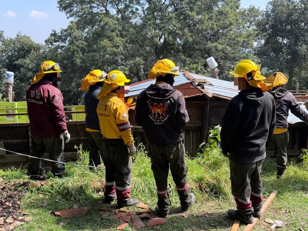 Refuerzan vigilancia ambiental en canales de Xochimilco