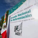 Sheinbaum arranca Jornada Nacional de Reforestación.