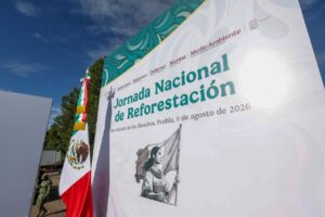 Sheinbaum arranca Jornada Nacional de Reforestación.