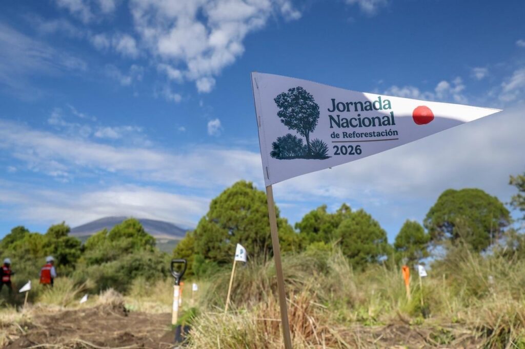 Sheinbaum arranca Jornada Nacional de Reforestación