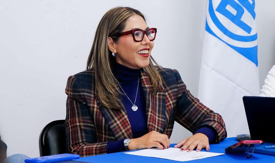PAN exige explicar nueva licencia de Rocha Moya