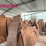 Aseguran en Tlalpan 2 mil metros cúbicos de madera presuntamente ilegal