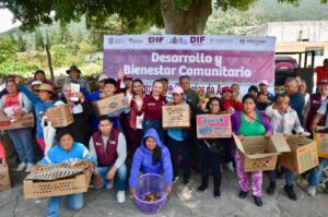 DIFEM impulsa alimentación y autoconsumo en Edomex