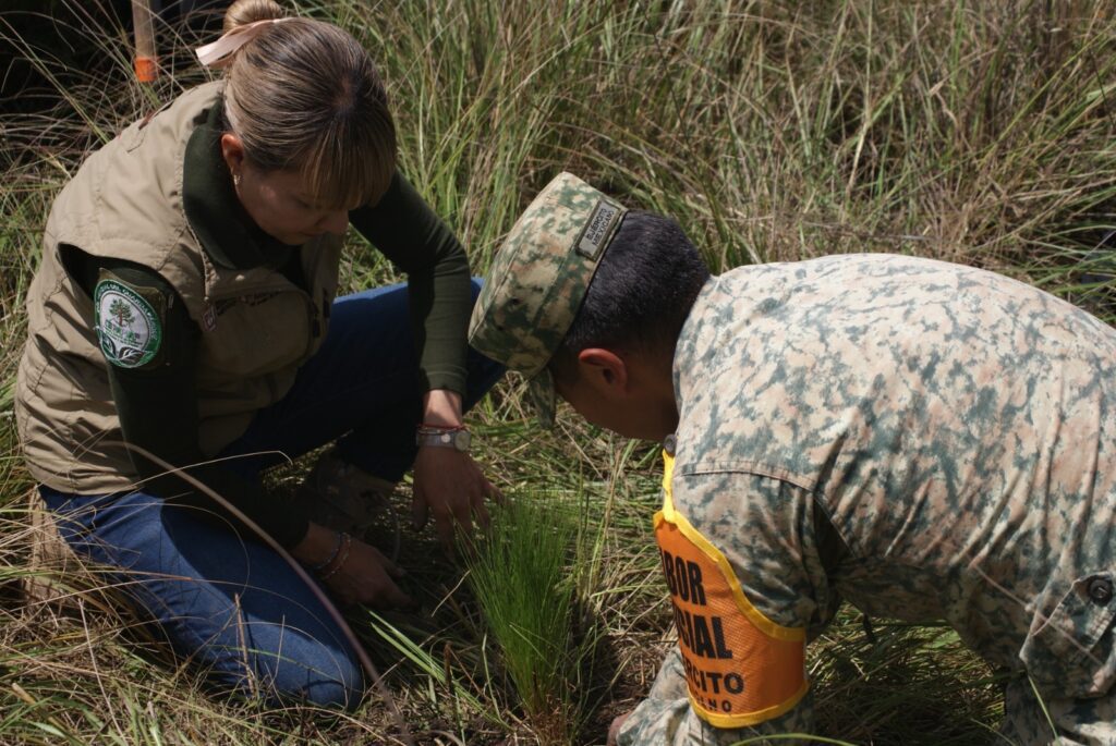 CEPANAF cierra campaña con más de 100 mil árboles