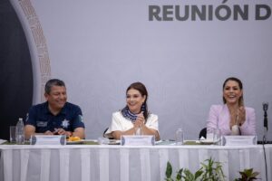 Brugada plantea Policía Metropolitana en reunión regional
