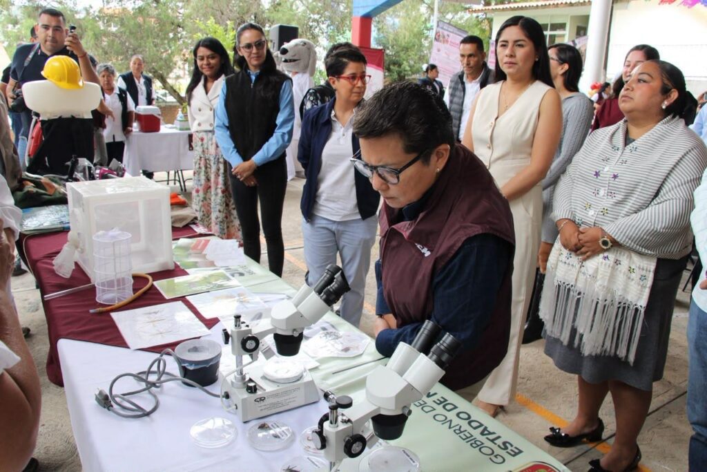 Gobierno del Edoméx refuerza acciones contra dengue, zika y chikungunya