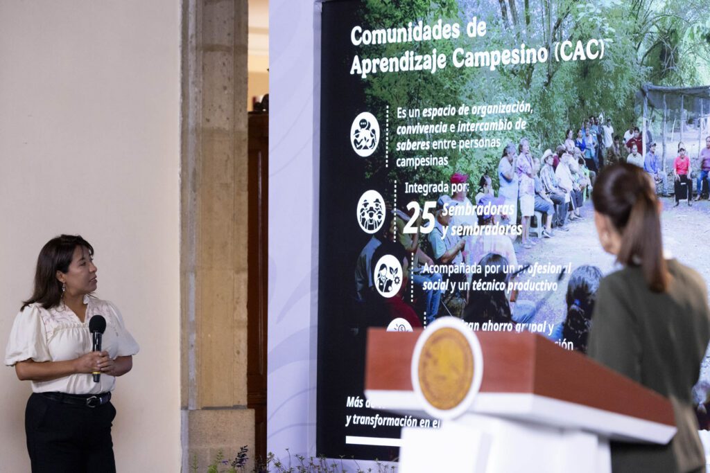 Sembrando Vida busca plantar mil 500 millones de árboles