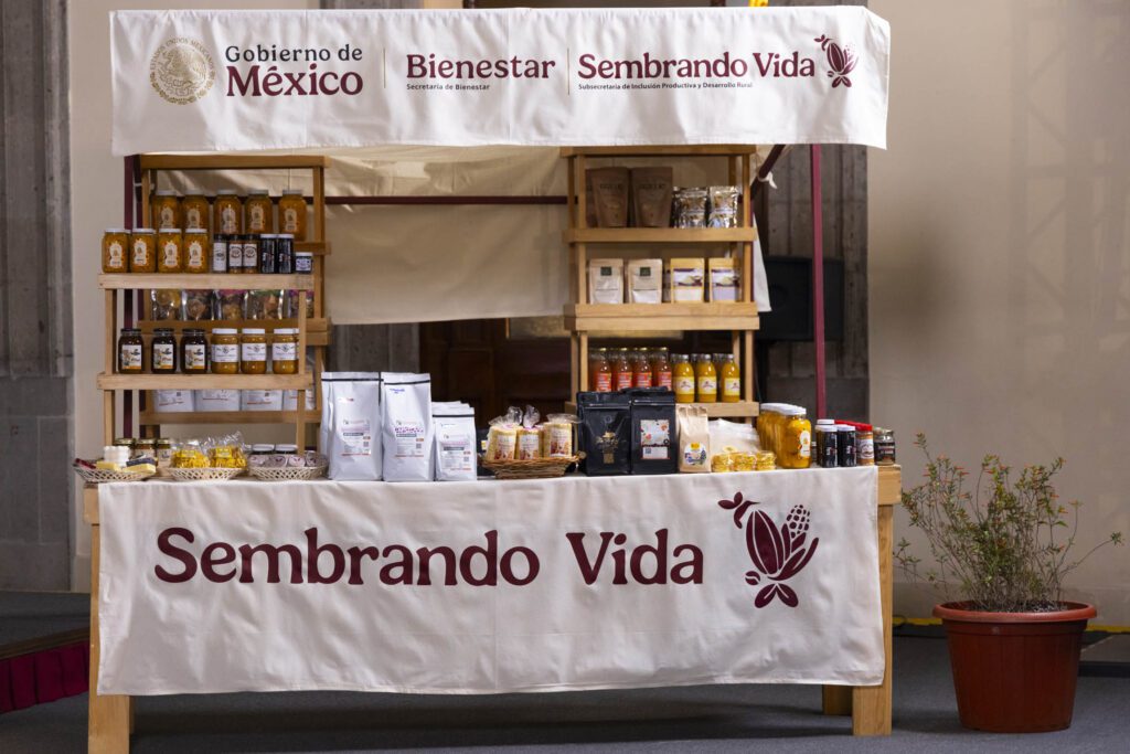 Sembrando Vida busca plantar mil 500 millones de árboles
