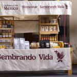 Sembrando Vida busca plantar mil 500 millones de árboles