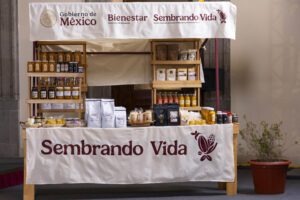 Sembrando Vida busca plantar mil 500 millones de árboles