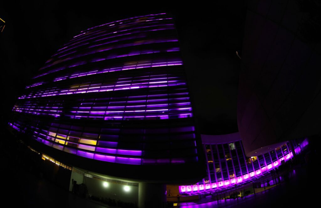 Senado