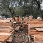 Aseguran 2 mil metros cúbicos de madera sin acreditar su procedencia en Tlalpan