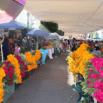 Xochimilco comercializa 9 millones de plantas de cempasúchil; alcanza producción histórica en 2026